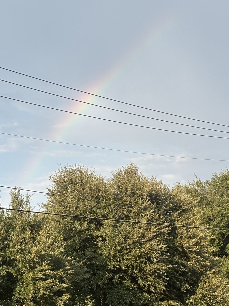 Alex Lemon tweet media