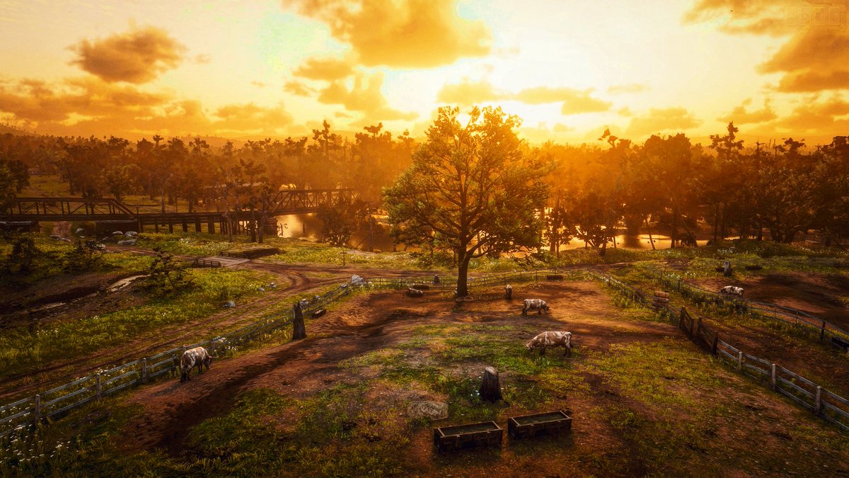 #Rockstar
#RockstarGames
#RedDeadRedemption2
#RedDeadRedemptiononline
#SaveRedDeadOnline