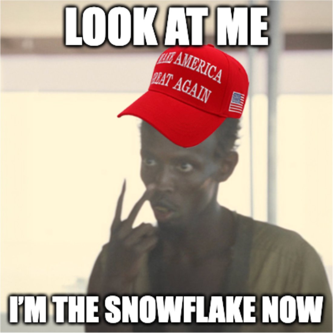 RepPress's tweet image. #snowflake