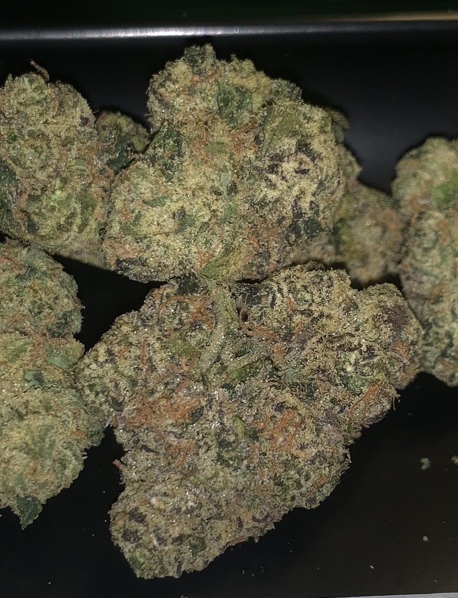grab_a_bong's tweet photo. @Bake_Boxx Rainbow Sherbet #11 🌈🍧 different light same fire 🔥
#BakeBoxxReview #BakeBoxxFlower #THCA #PhotographyIsArt https://t.co/PZ0HWhzJUn