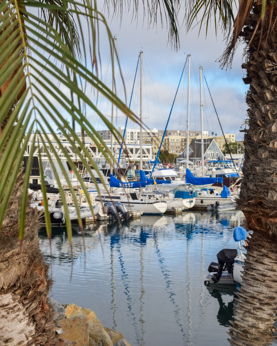 O’side Harbor in the #SeasonofSwellness... are you here for the boats, the seafood, or the sunsets? 🛶🍤🌅