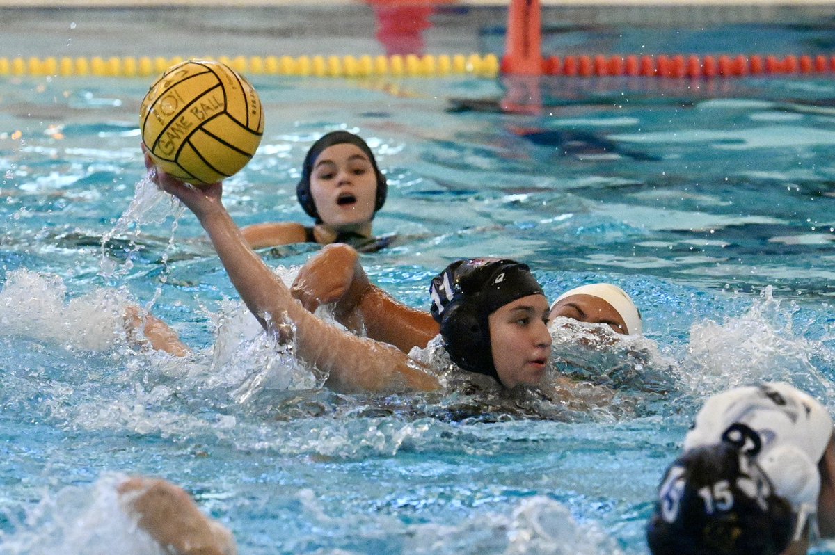 Abbie Geveshausen (@cfisdabbie) on Twitter photo It’s a beautiful evening for some <a href="/CyFairISD/">Cypress-Fairbanks ISD</a> water polo! The <a href="/CyWoods212/">Cypress Woods HS</a> varsity girls are competing against <a href="/CypressRidgeHS/">Cypress Ridge HS</a> in a great District 16-6A matchup! #CFISDspirit #ChooseCFISD 🎉 It’s a beautiful evening for some <a href="/CyFairISD/">Cypress-Fairbanks ISD</a> water polo! The <a href="/CyWoods212/">Cypress Woods HS</a> varsity girls are competing against <a href="/CypressRidgeHS/">Cypress Ridge HS</a> in a great District 16-6A matchup! #CFISDspirit #ChooseCFISD 🎉