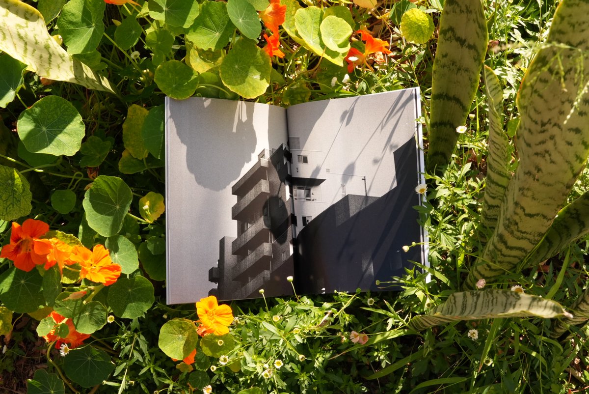 BigSunPress's tweet photo. Springing up in strange places, edition 1 of Big Sun Press' inaugural, anthological magazine, Farlander, has made its debut.

Download your free copy of 'Wanderer' now, or consider purchasing a print copy. https://t.co/bo2ENG3kaH