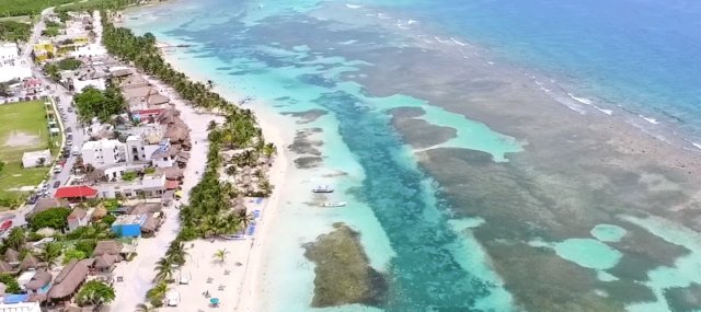 VerasNews's tweet photo. #CancúnYQuintanaRoo 🌴 Con más de 339,589 firmas, el colectivo “Salvemos Mahahual”, intensifica esfuerzos para detener el polémico megaproyecto turístico “A Perfect Day Mexico” de Royal Caribbean🚢
https://t.co/Gz8eFdpuFM https://t.co/qxEJ9ZlnNk