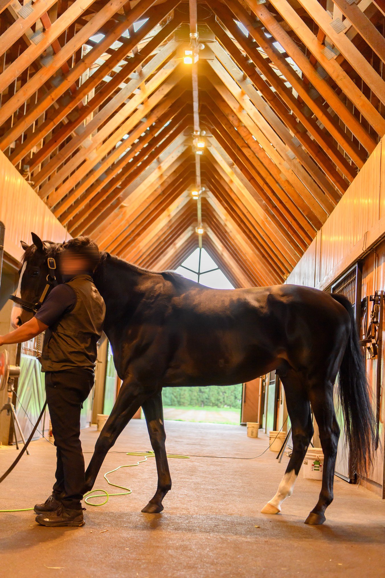 イクイノックス　実使用　調教　蹄鉄　鬣　一本付き　② イクイノックス 実使用 調教 蹄鉄 鬣 一本付き ②