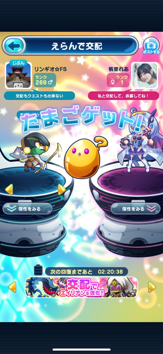 #桃里れあと交配