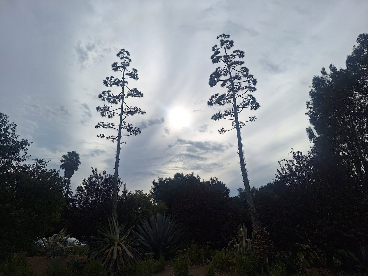 CLee71's tweet image. 