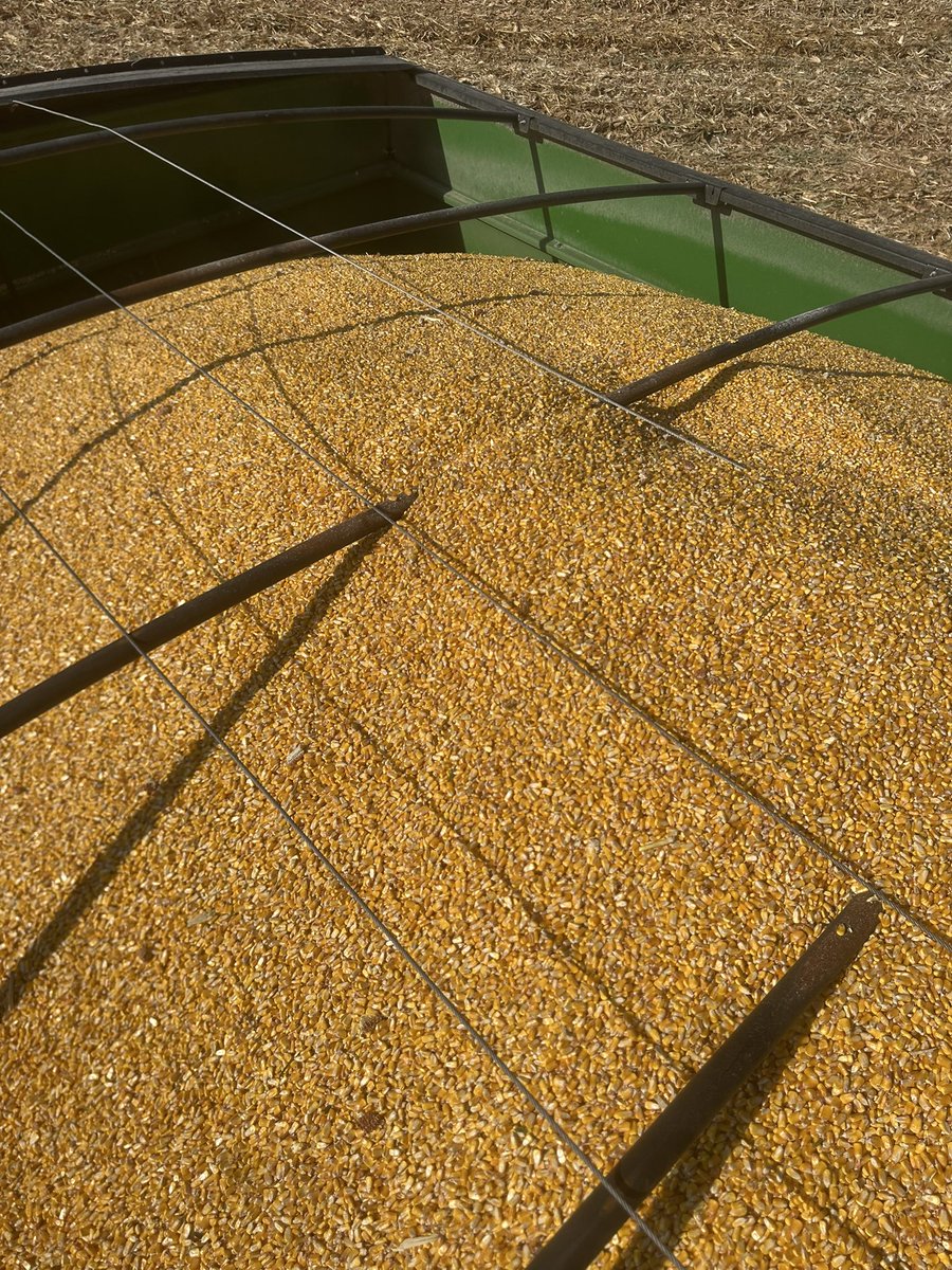 Bodie Kitchel tweet media