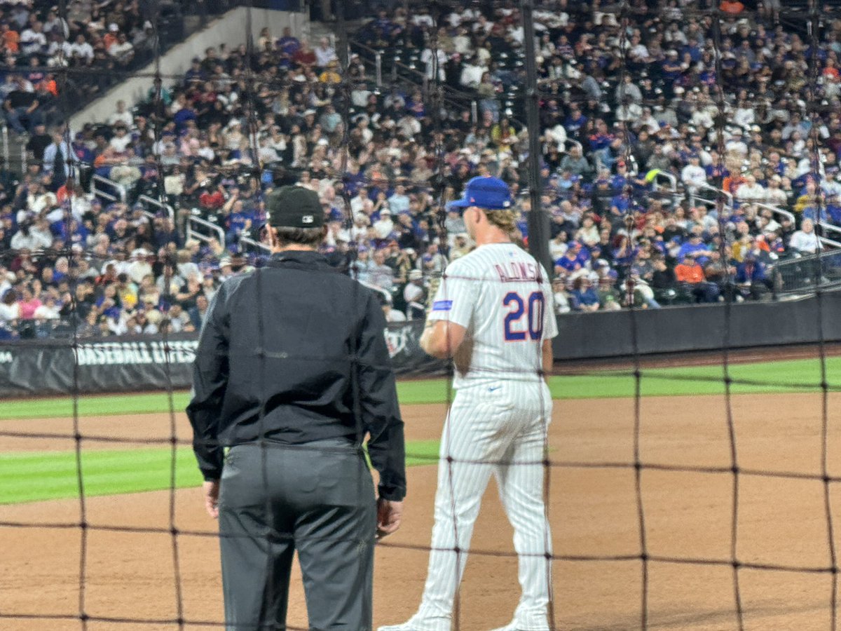 annabrice's tweet image. I am liking my seats. 

#LGM #LFGM #NYMets