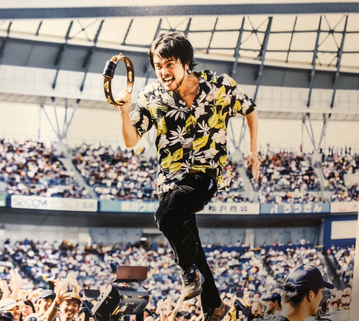 『井口さんの1番好きな写真』でまず思い浮かぶのがコレなんだよな..

ほんとだ大木に見えてきた

走るパワースポット🌳