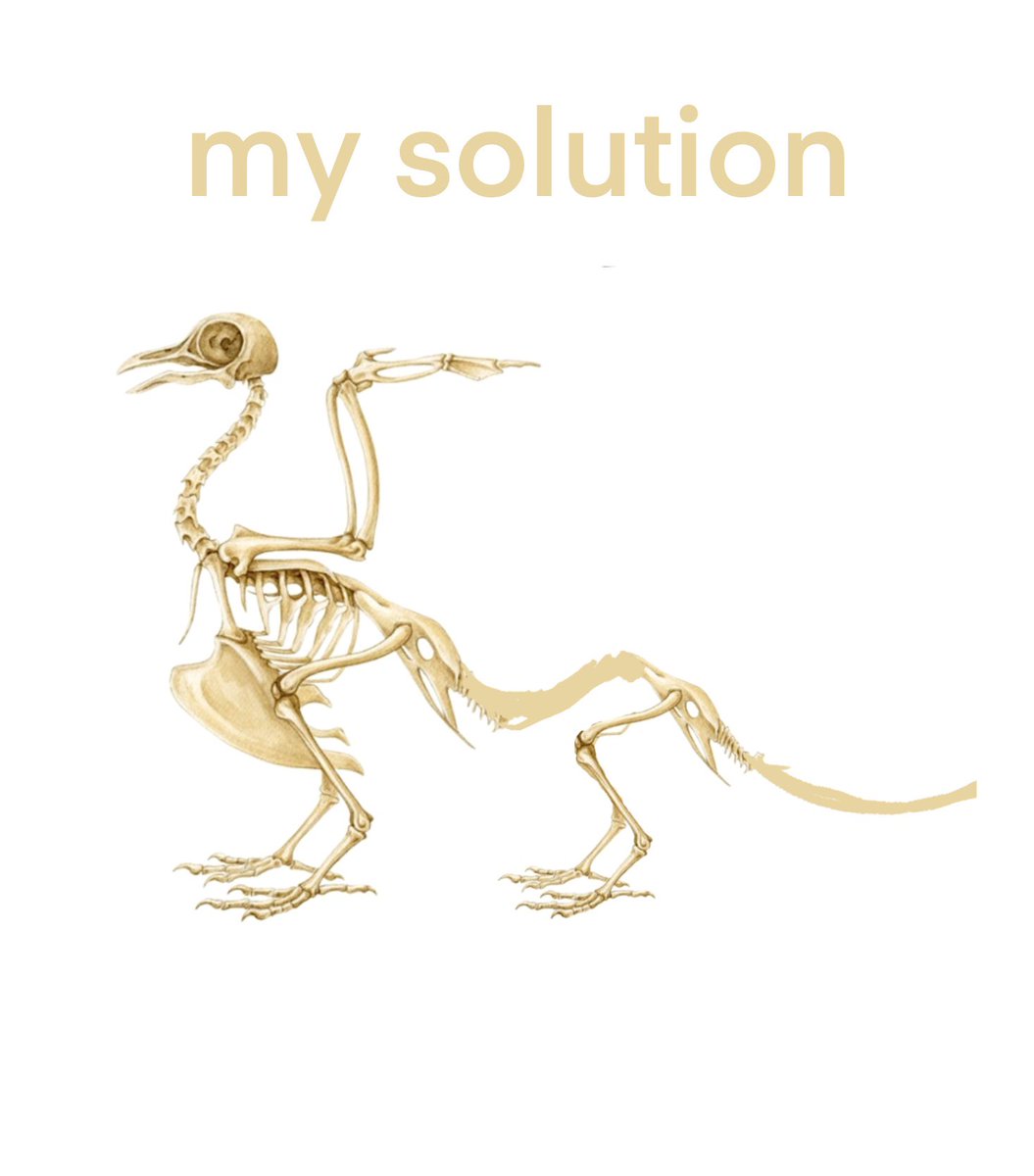 GiorgiGhlonti6's tweet image. 6 limbed dragons (4legs+wings) anatomy simply doesn&apos;t work. front legs get in the way of wings. i fixed this as shown on a second picture. bird skeleton+second pelvis with legs. please check out my dragon design based on this anatomy.#speculativeevolution #creaturedesign