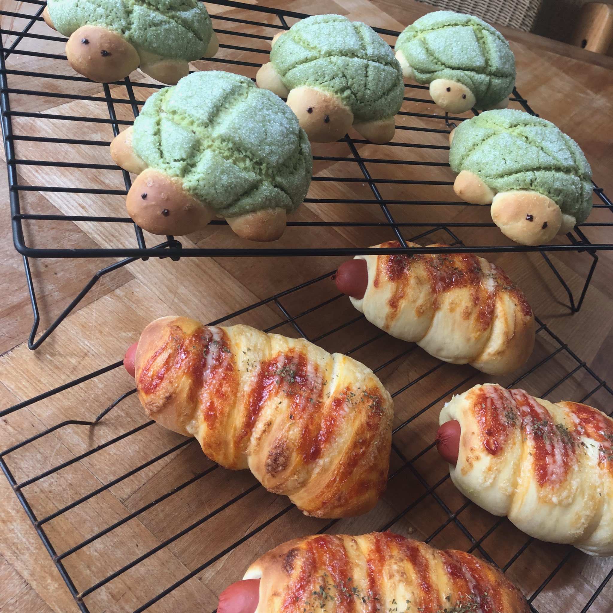 ˗ˏˋ ＊クミン＊ページ ˎˊ˗ mingo🦩🇳🇿 (@mmmingo5) / X