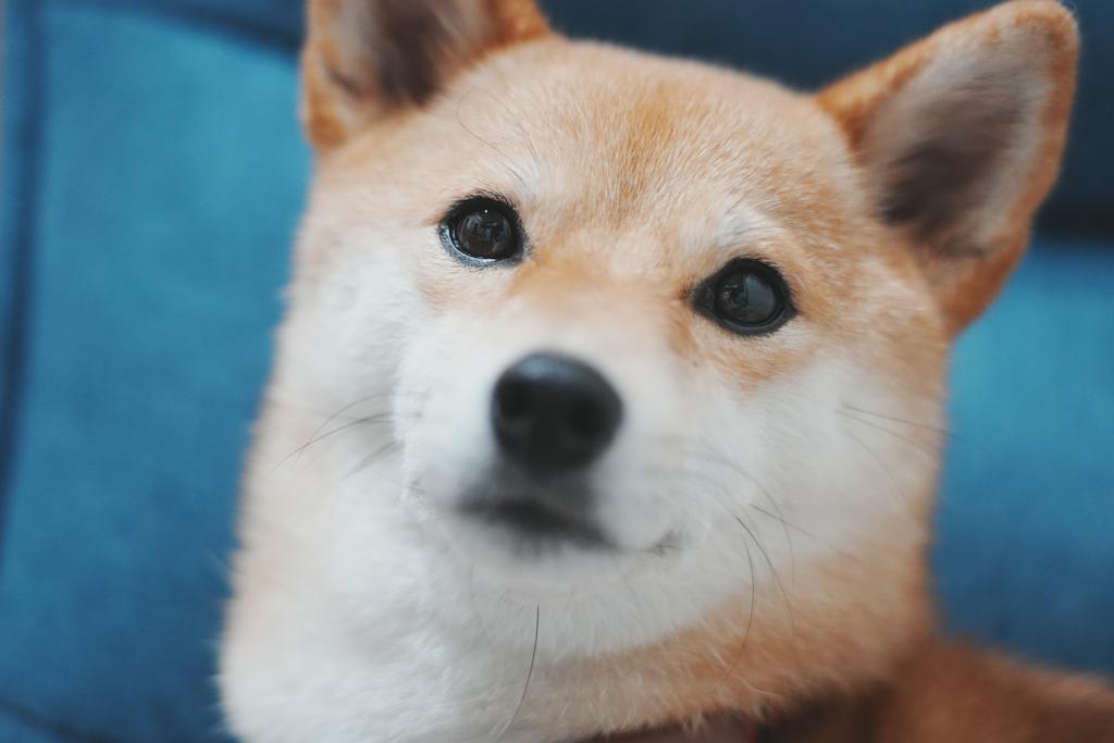 綺麗に撮影してもらいました💕