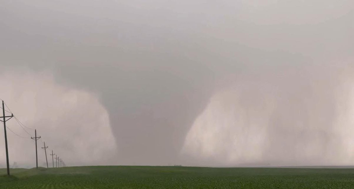 Braydon Morisseau tweet media