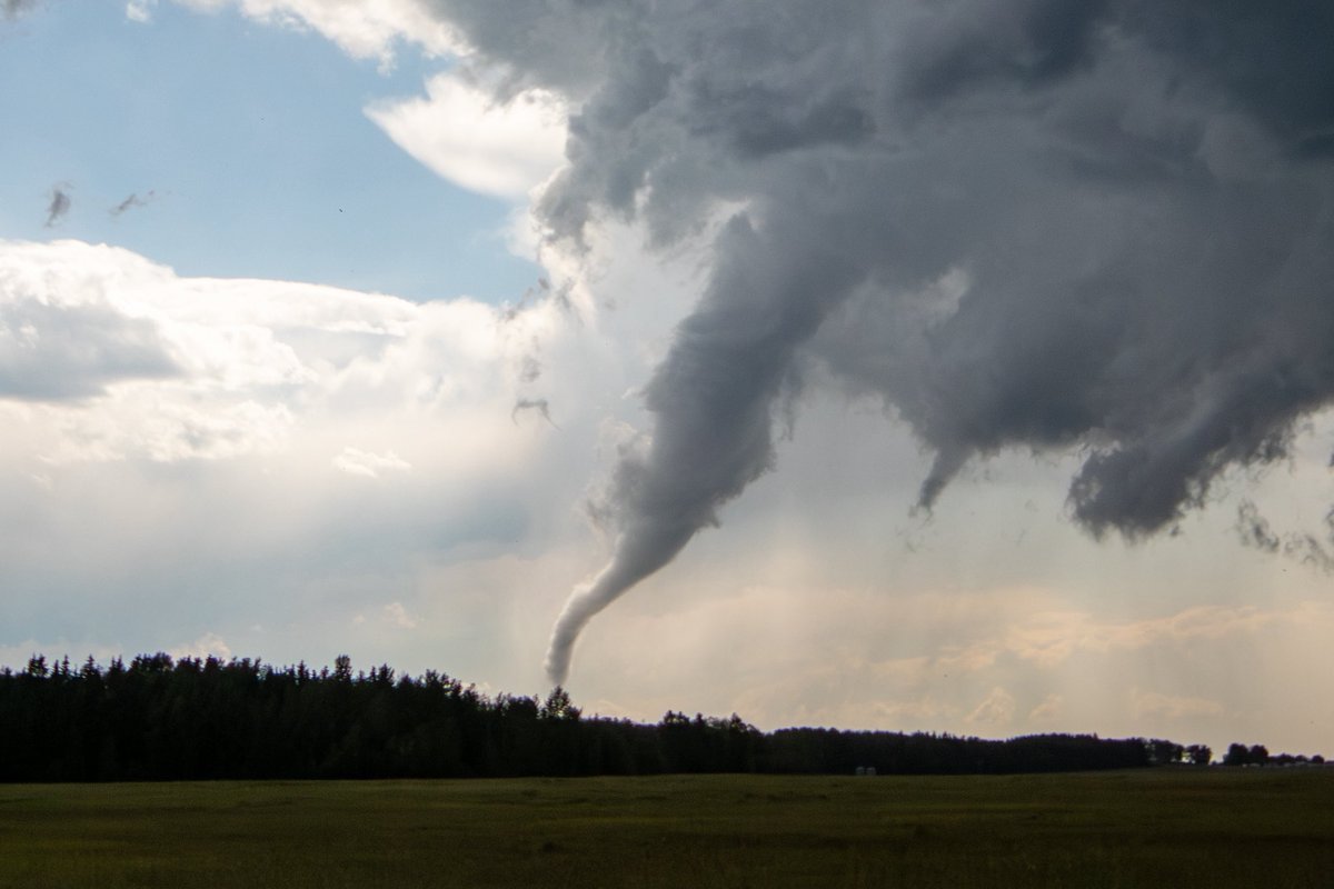 Braydon Morisseau tweet media