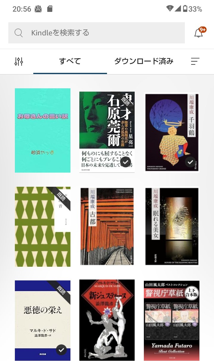 官能小説とその他まとめ売り　計１２０冊以上 官能小説 リアルドリーム文庫 20冊セット｜Yahoo!フリマ（旧