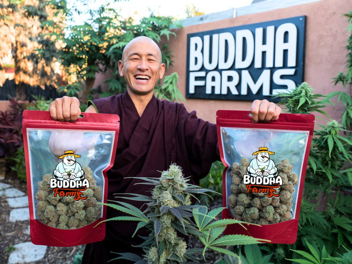 Los monjes decidieron bendecirlos con un par de Onzas Greenhouse solamente para ustedes familia!🥦🧧
Actívense y dejen su like y RT para que mañana mismo subamos el sorteo y puedan ganarselas!🏆🌿🔥📦🫡
#420community #Mexico #sorteo420
#cannabismx #giveaway #weedmx