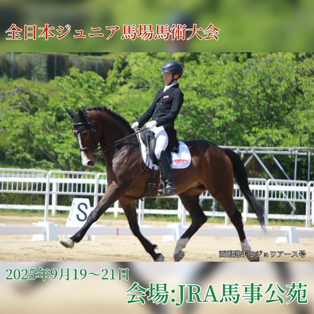 fukubaz's tweet photo. 【大会出場のお知らせ⋆͛📢⋆】
福岡大学馬術部所属の西嶋選手が、9月19〜21日に開催される
第42回全日本ジュニア馬場馬術大会に出場��たします🐴
応援よろしくお願いします🔥

 #福岡大学馬術部  #福岡大学  #福大  #馬場馬術  #Dressage #馬術 https://t.co/TLc0ChoV8Q
