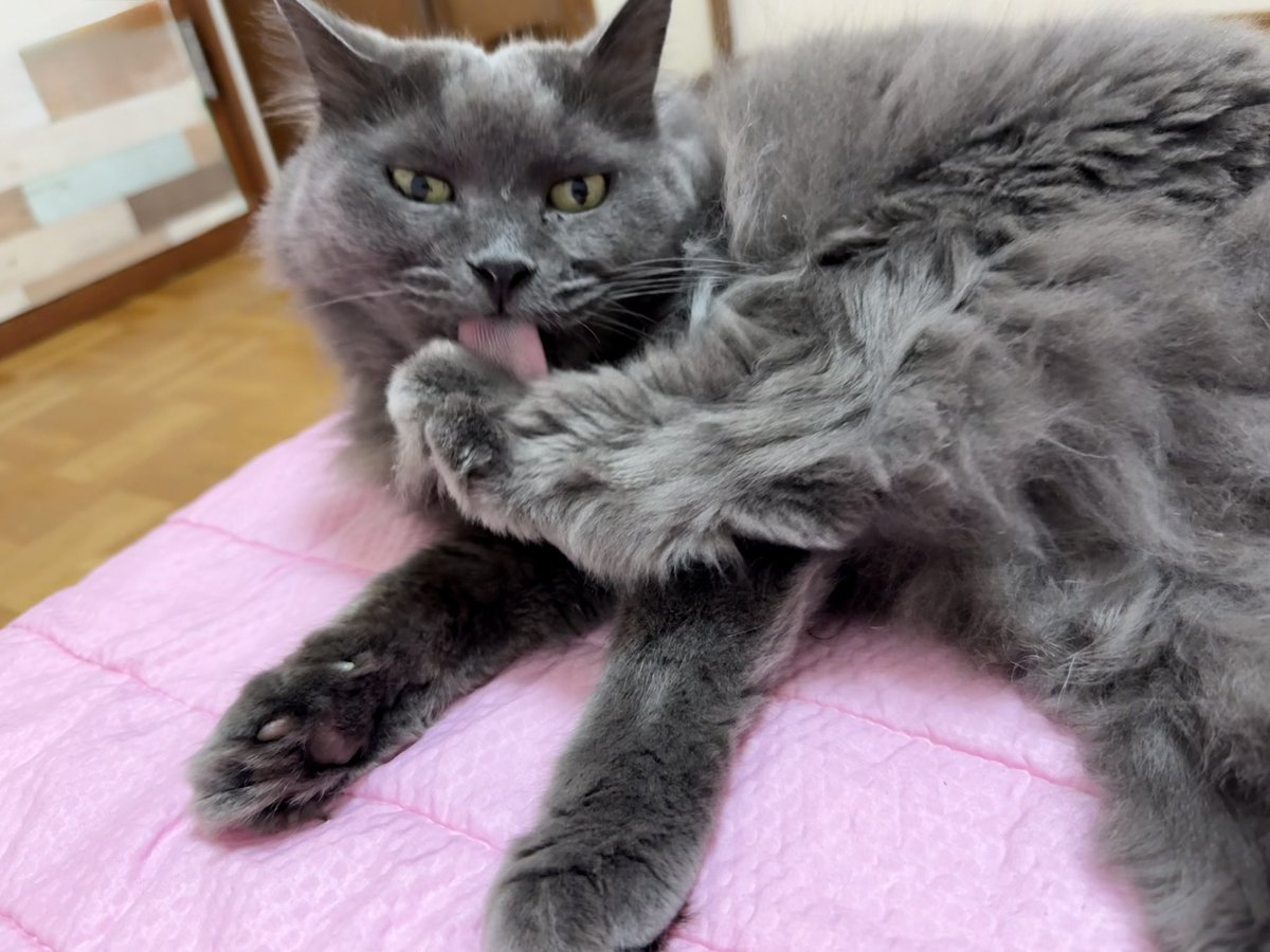 セクスィー感はゼロ👑