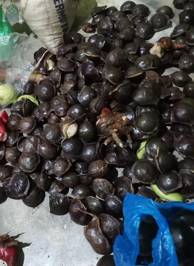 tanyarlfes's tweet image. Sebanyak ini enaknya diapain ya? Rekomen olahan kue berbahan dasar jengkol dong 💚