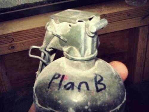 Monty 🦌🐕 tweet media