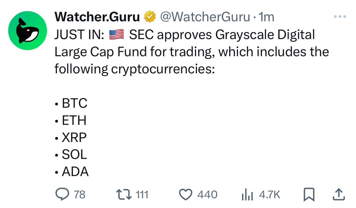 3orovik's tweet photo. the bull market is just getting started! https://t.co/KMDlgSL0Jo