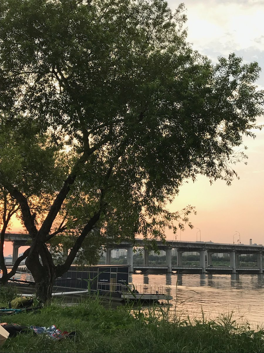 9월의 한강은 시원하구〰️ 예쁘구〰️ 모기 개많음👆🏻👆🏻