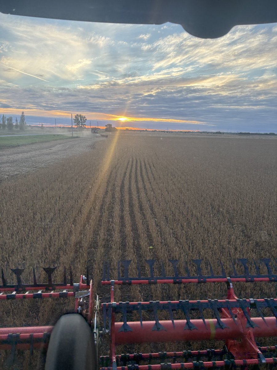 StableNmbmd's tweet photo. Office view tonight https://t.co/dk278wR5R2