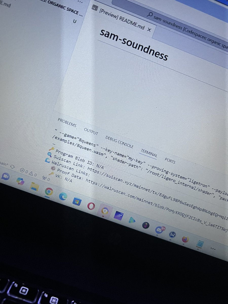 SoundnessLab is building the future of crypto security.
It’s not about hype or empty promises, it’s about measurable trust.
Proofs you can verify. Guarantees you can rely on.
That’s how real adoption happens.