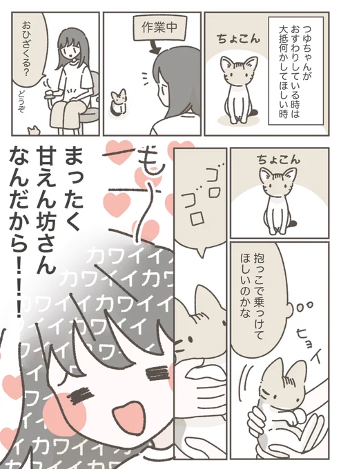 もっとつゆちゃんの気持ちを読めるようになりたい飼い主 