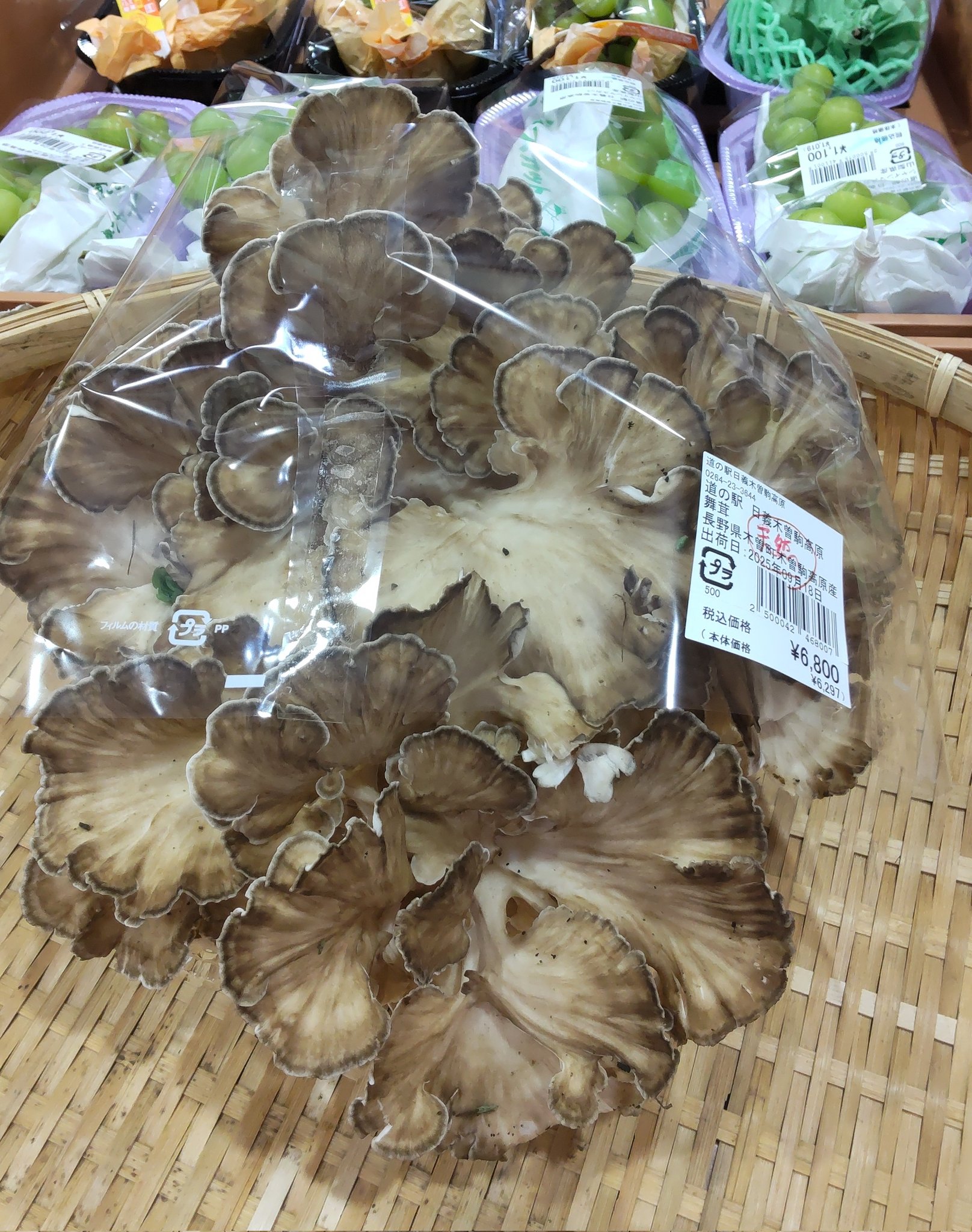 ダブルエックス木曽/XX_KISO on X: 