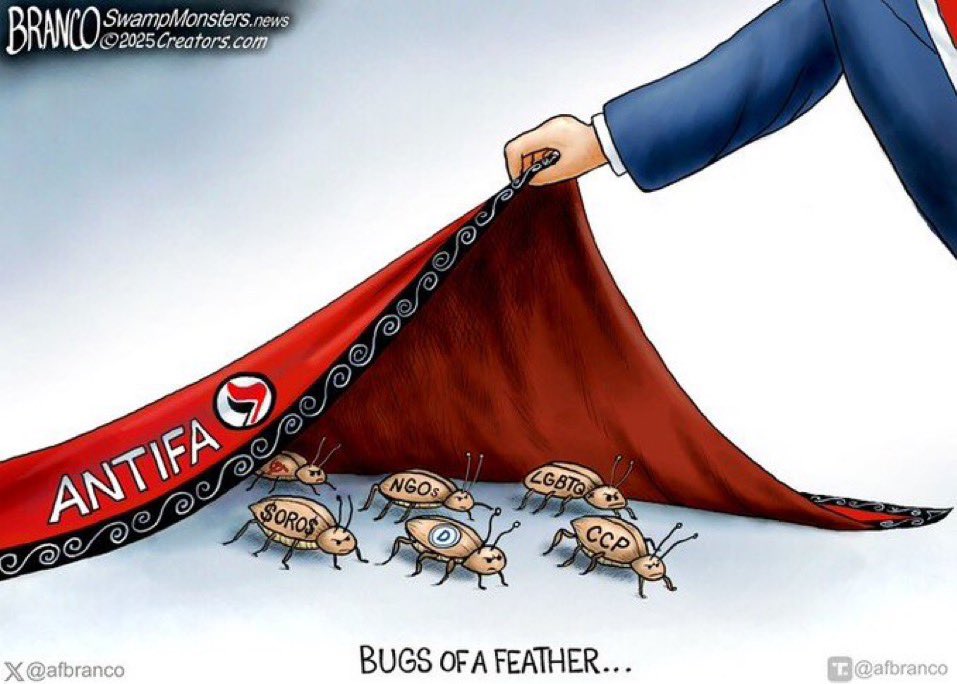attackdogX's tweet photo. @bennyjohnson https://t.co/0xK4RPPJop