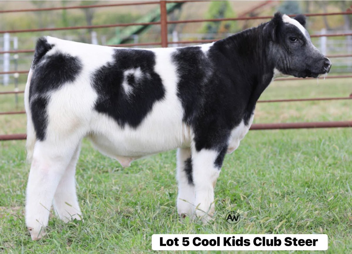 mattlautner's tweet image. #Iowa  

Danner Cattle Sale On SC Online Sales Tonight 

sconlinesales.com/Bids/AuctionsL…

#CheckEmOut