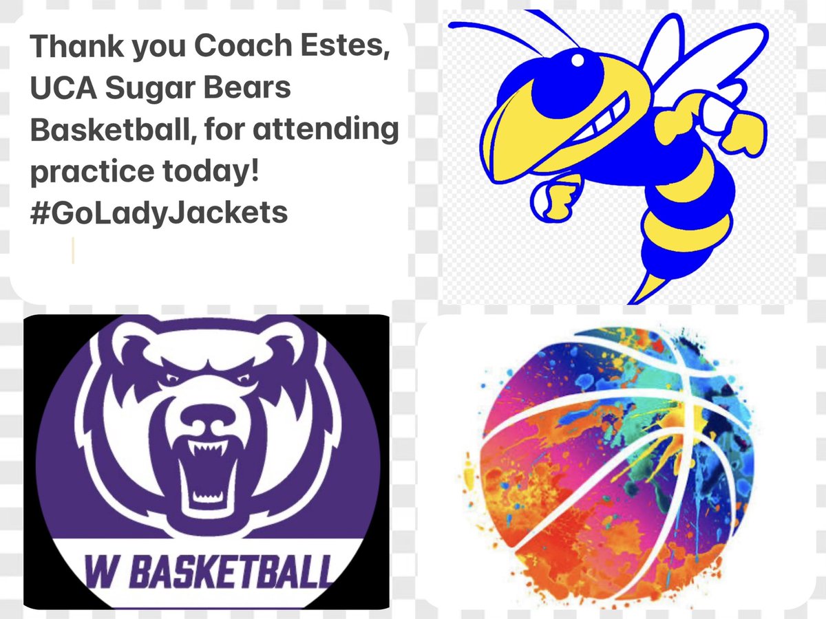 Mountain View Lady Yellowjacket Basketball tweet media
