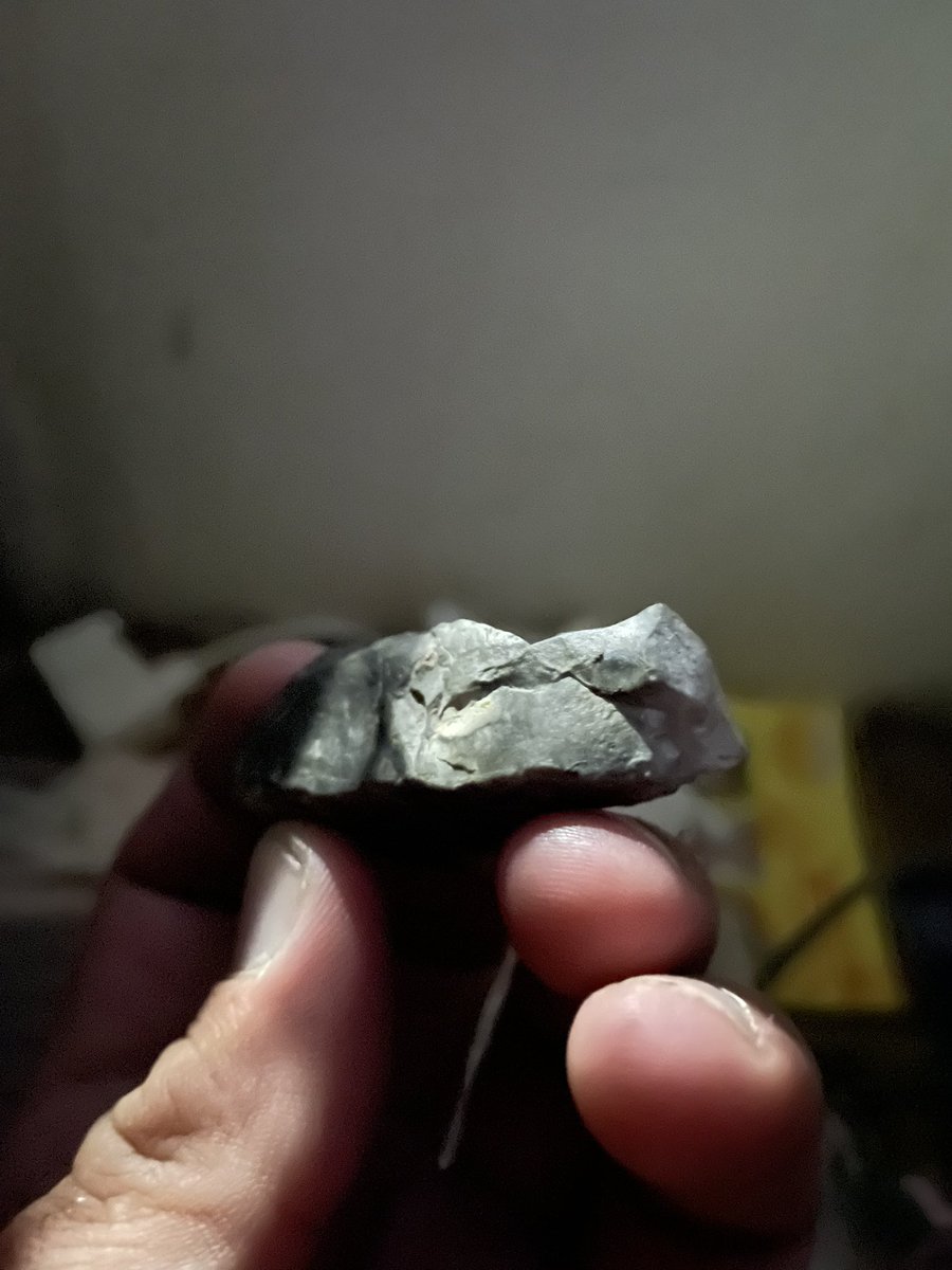 AdamOneTruth's tweet image. Just gotta clean up my camera. Making a thread of old art/artifacts of the culture that was here from the ice age up to around 600 years ago.

First of the mammoth fight stone.