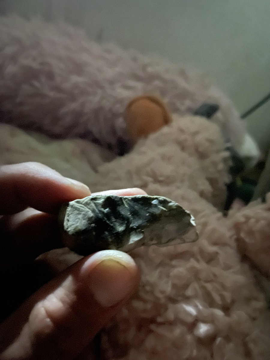 AdamOneTruth's tweet image. Just gotta clean up my camera. Making a thread of old art/artifacts of the culture that was here from the ice age up to around 600 years ago.

First of the mammoth fight stone.