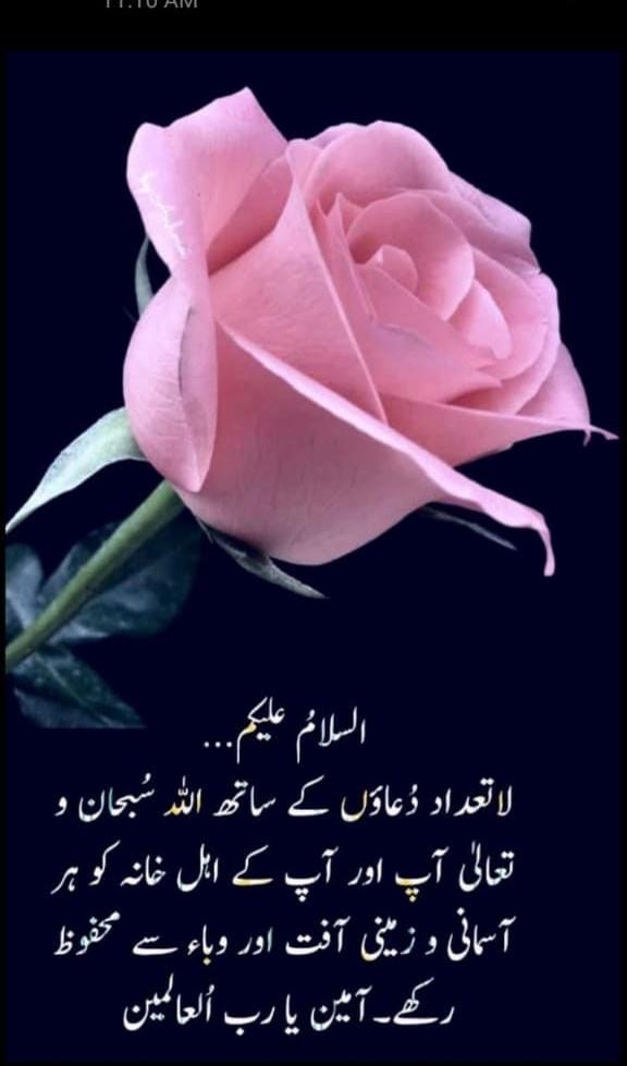 السلام علیکم ورحمتہ اللہ وبرکاتہ 
صبح بخیر زندگی