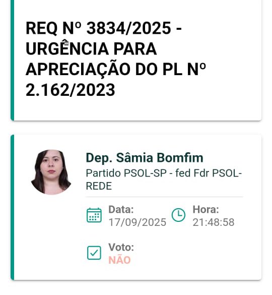 Sâmia Bomfim tweet media