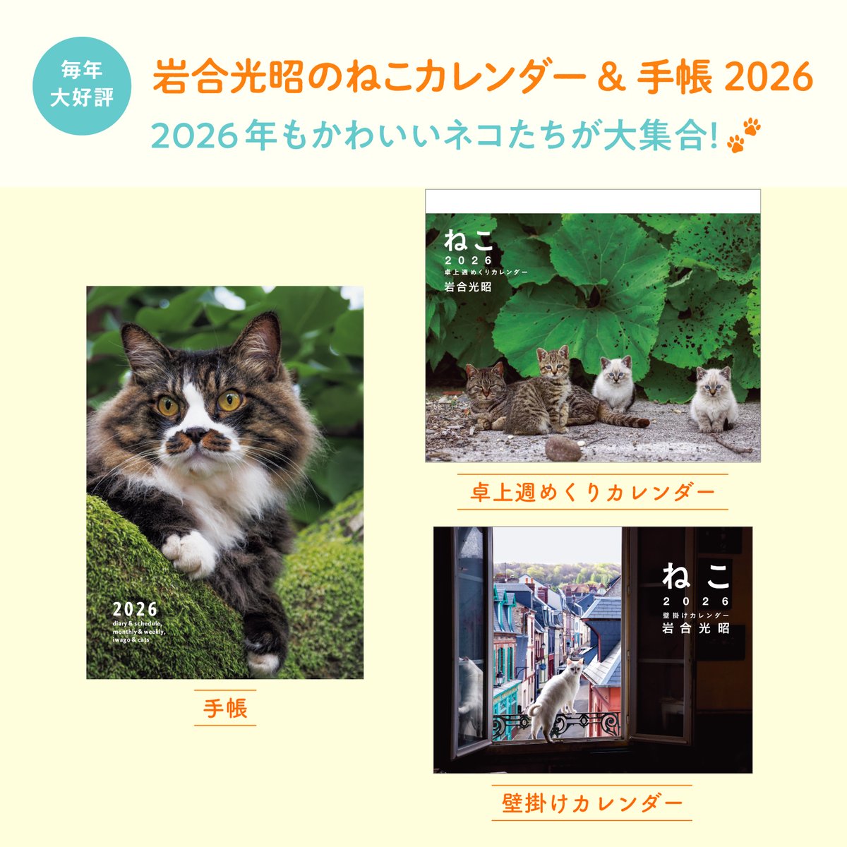 写真展「岩合光昭の日本ねこ歩き」 (@nihonnekoaruki) / Posts / X