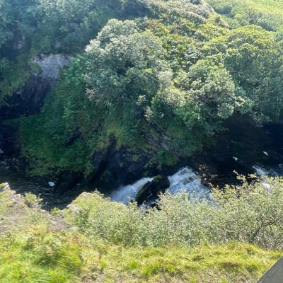 msumana's tweet photo. #NewProfilePic https://t.co/amO2ke1dhY
