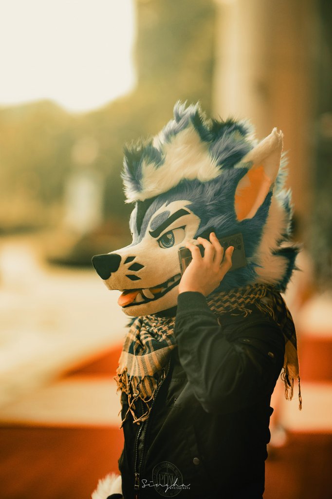 Bluee 🦋 social (@blusicurl) on Twitter photo You called the dog. 
When your working from home. 🤫
📷: <a href="/rekirc/">Rek</a> You called the dog. 
When your working from home. 🤫
📷: <a href="/rekirc/">Rek</a>