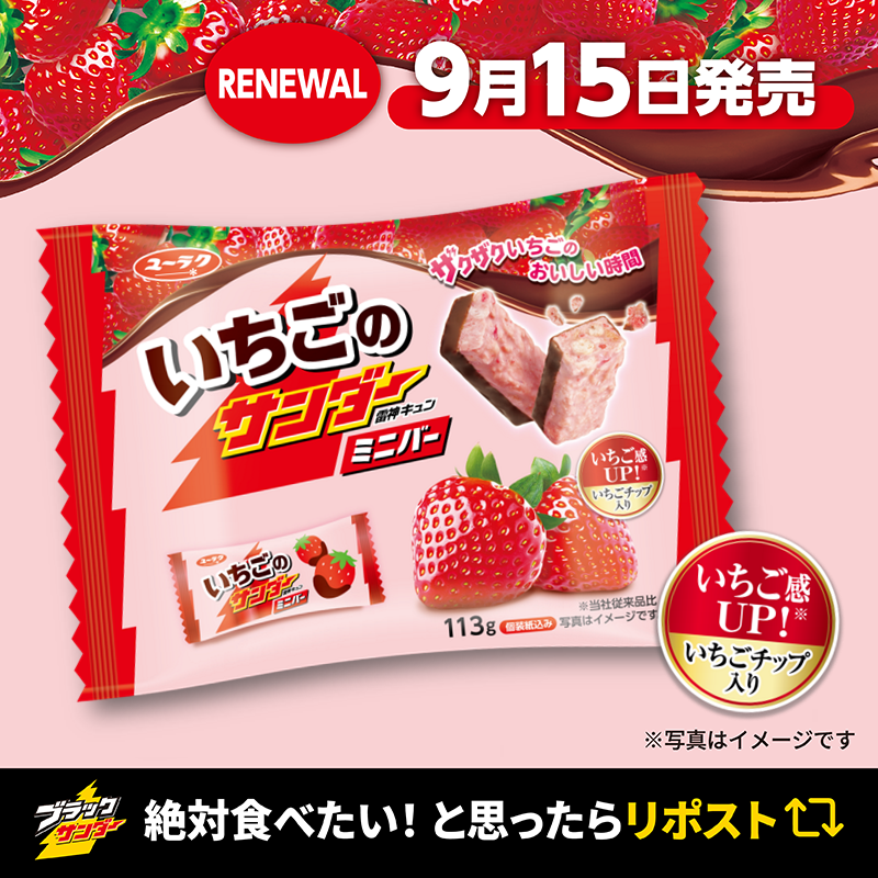 いちごのサンダー　ピザポテト　ボノボン　キャラパキ　まけんグミ　ブラックサンダー いちごのサンダー ピザポテト ボノボン キャラパキ まけんグミ