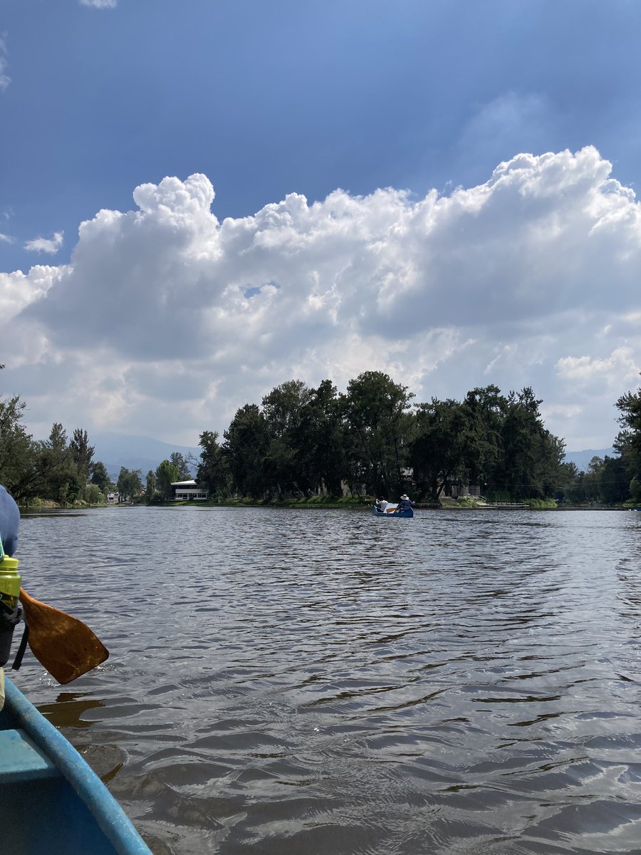 Xochimilco y su producción de alimentos. 

Me invitaron a colaborar en un proyecto de agricultura agroecología en Xochimilco. Acepté. 

Por cierto, sigo haciendo entregas personales de café en la CDMX.
