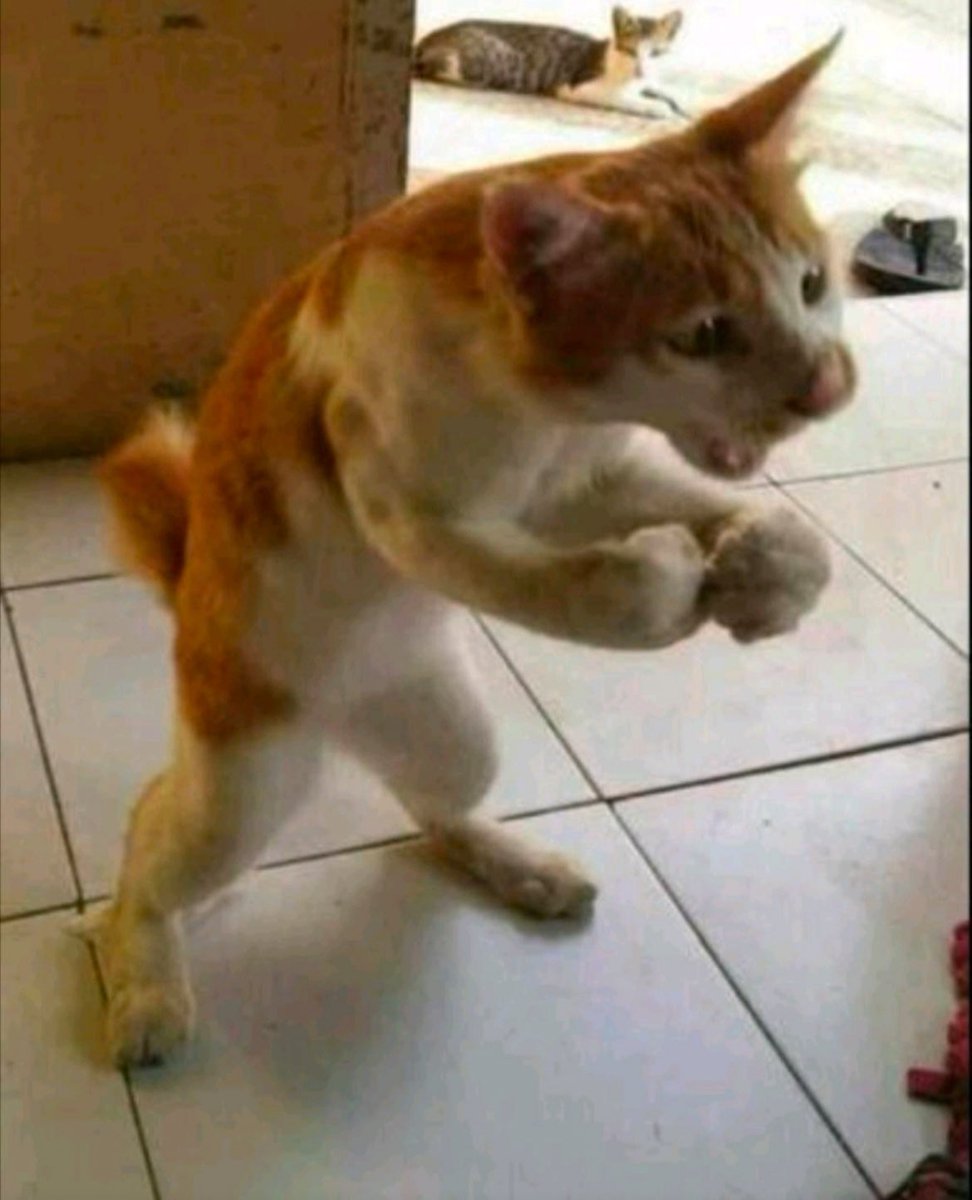 <a href="/ns123abc/">NIK</a> WHAT DO I DO FIRST??
