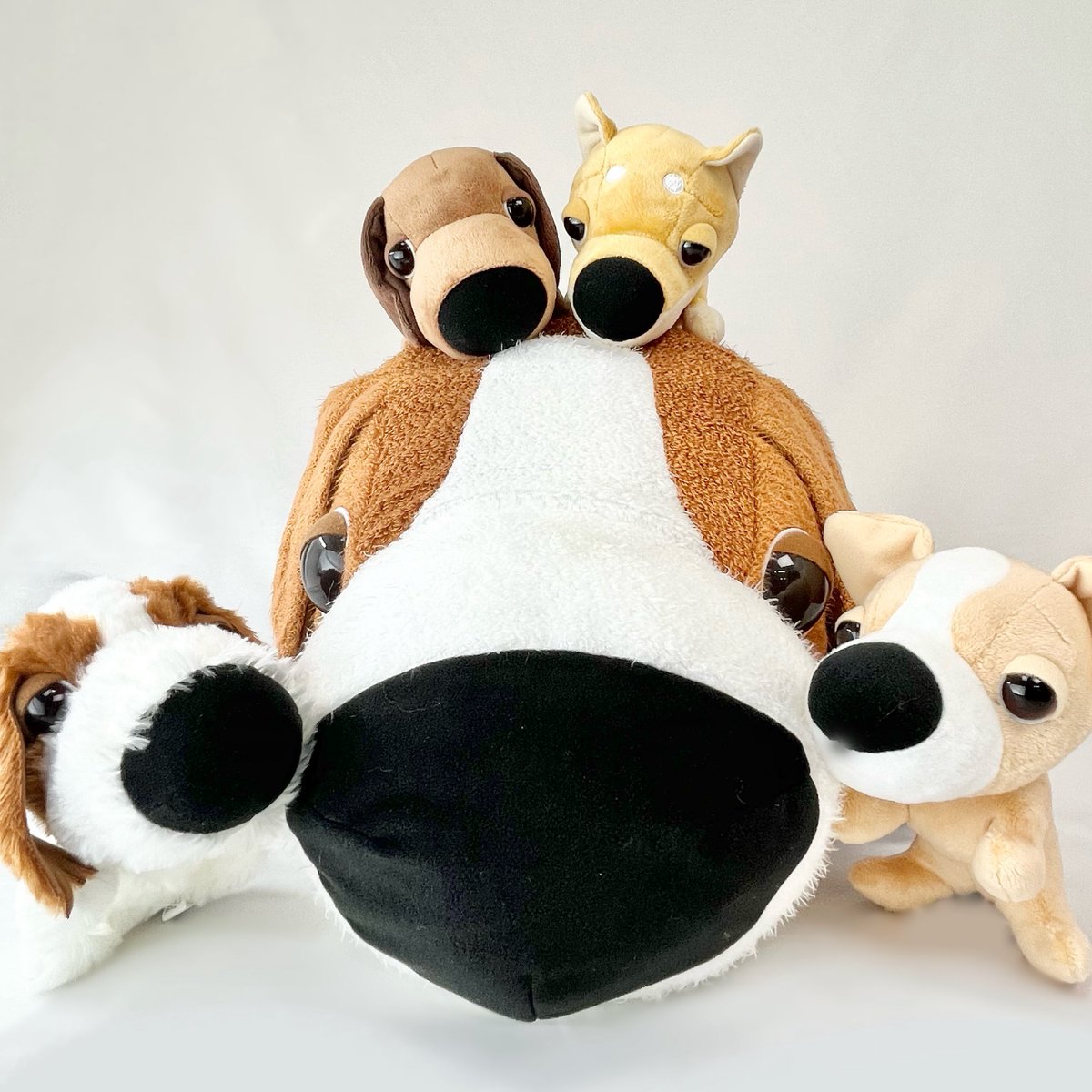 ぎゅっ🐶💖 おむかえしてくれたら嬉しいな✨ （みんなが集めた鼻