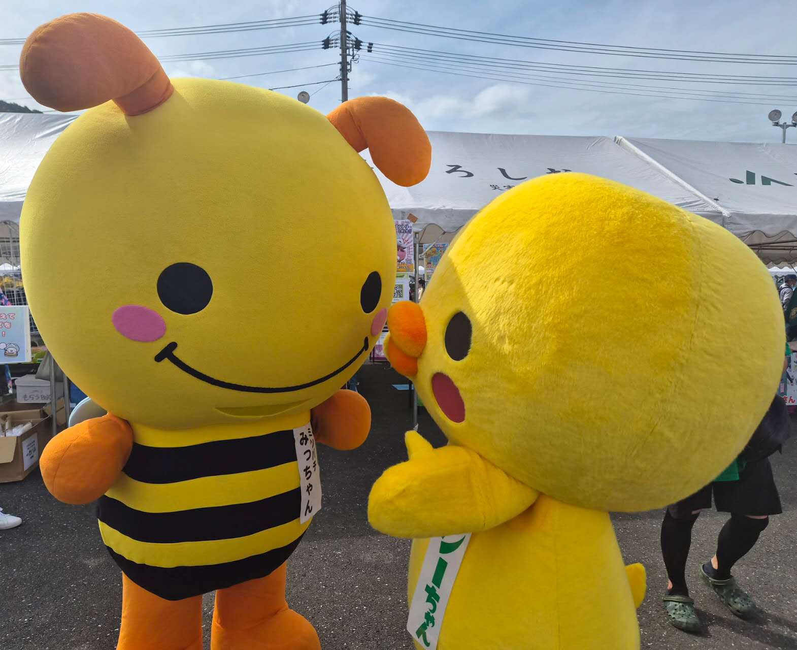 みっちゃん  楽天市場】ミツバチみっちゃん万年アクリルカレンダー : GSクラフト