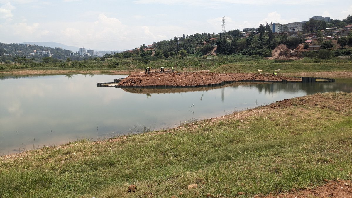 YWP University of Rwanda (@urywp) on Twitter photo Yesterday, UR-CST YWP members visited Kigali Wetlands Park 🌿. We’re proud to witness a new chapter in Kigali’s sustainability journey — over 490 hectares of wetlands are being rehabilitated to boost flood resilience, biodiversity, and urban well-being. 🌍💧 <a href="/KigaliPark/">Kigali Wetlands Park</a> Yesterday, UR-CST YWP members visited Kigali Wetlands Park 🌿. We’re proud to witness a new chapter in Kigali’s sustainability journey — over 490 hectares of wetlands are being rehabilitated to boost flood resilience, biodiversity, and urban well-being. 🌍💧 <a href="/KigaliPark/">Kigali Wetlands Park</a>