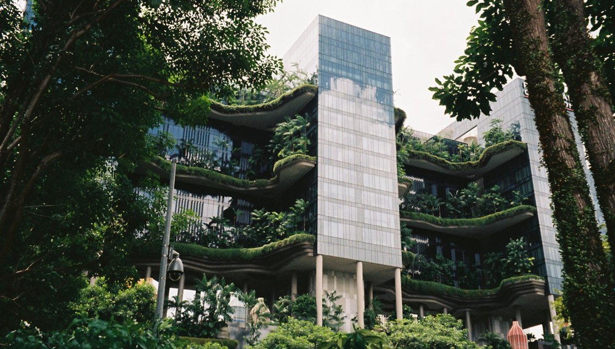 StrategyAndOps_'s tweet image. 🏙️ Can a city act like a sponge? Across APAC, green roofs, wetlands &amp;amp; parks are cutting floods, cooling streets &amp;amp; bringing back nature. We help cities design safer, greener spaces ready for climate change. ✉️ info@strategyandops.net #SpongeCities #UrbanResilience