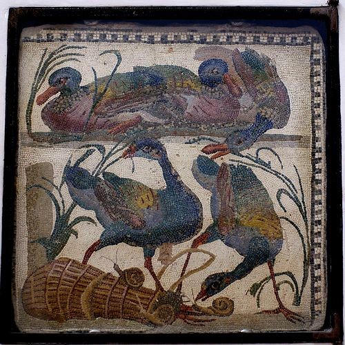 In this 2,000-year-old Roman mosaic, mallard ducks and purple swamphens fossick for snails (Santa Maria in Trastevere, Rome; photo HEN-Magonza)