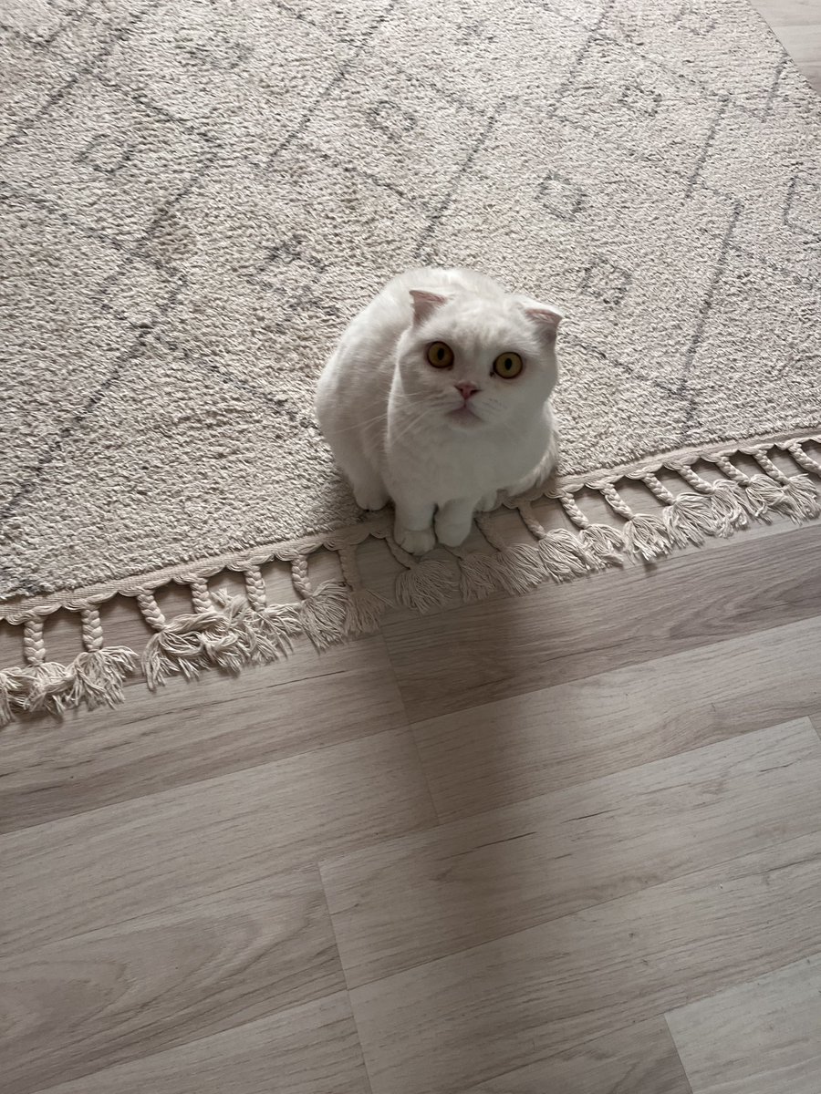 ne dimek bugümde gidiyovum? böyne hem güm nire gidiyom?